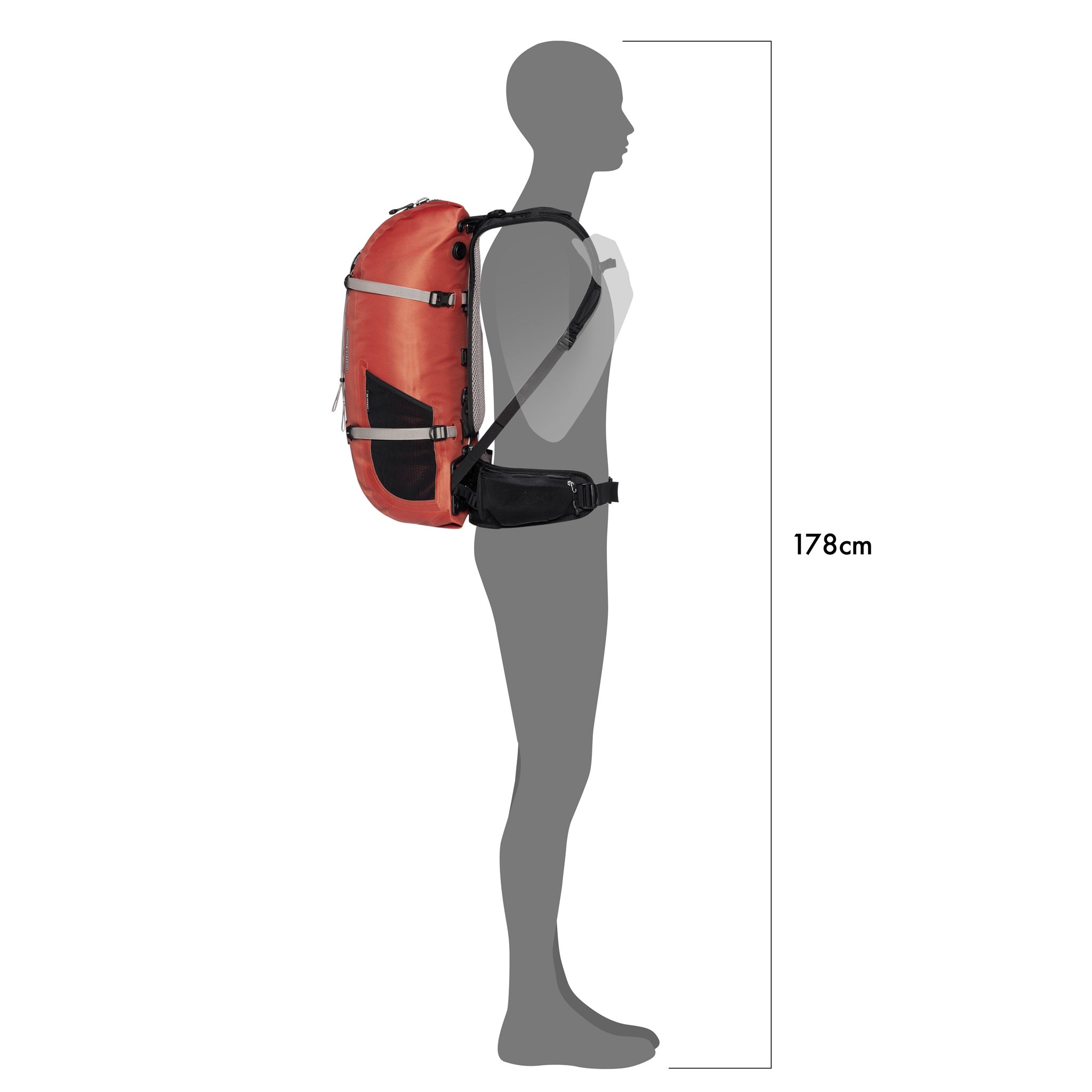 Größenansicht des wasserdichten ORTLIEB Outdoor-Rucksacks Atrack in der Farbe rooibos mit 25 Litern Volumen, getragen von einem 178 cm großen Modell, zeigt kompakte Passform und ergonomische Lastenverteilung.